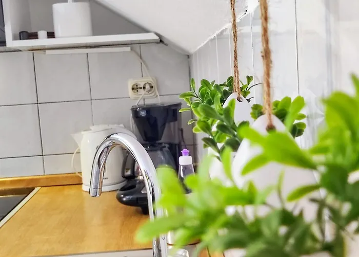 דירה Old Town House Katarina דוברובניק